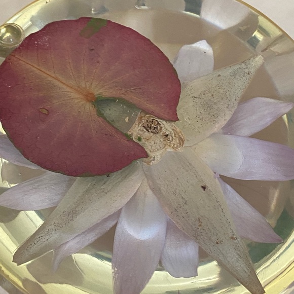 Vintage Lucite Dried Flower Domed Desk Paperweight Clear Plastic Acrylic Decor - Picture 4 of 14